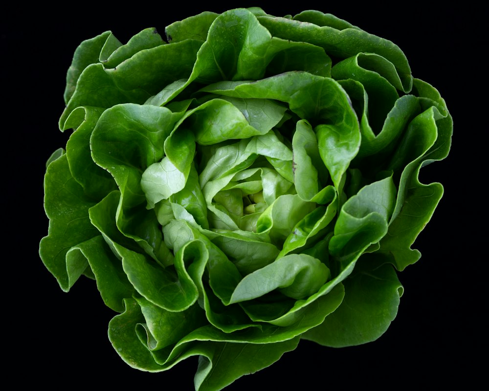 Diana Ionescu - Specialist în Nutriție și Plante Medicinale